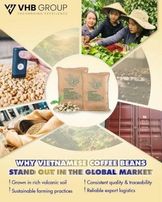 Robusta coffee beans - Vietnamese coffee beans - global trade - agricultural products