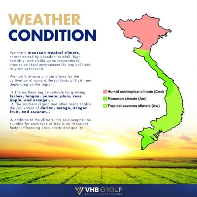 Vietnam Weather Condition