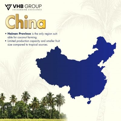 China Desiccated Coconut