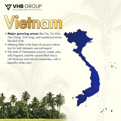 Vietnam desiccated coconut