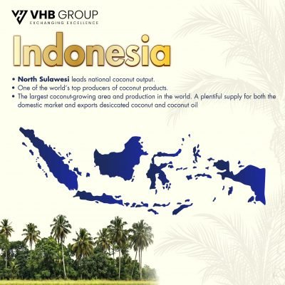 Indonesia Desiccated Coconut