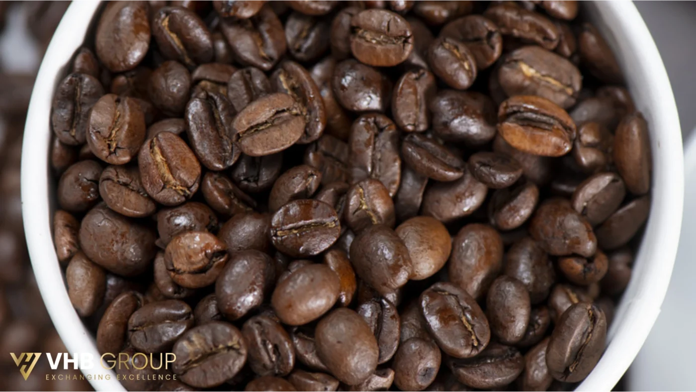 Traceable Coffee Beans Origin